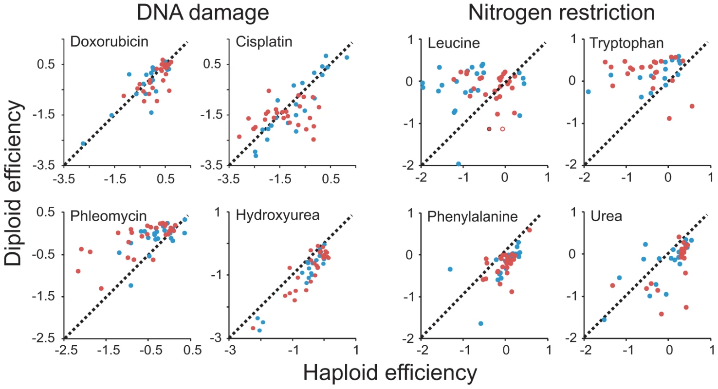 Patterns of ploidy–environment interactions refute generalizing hypotheses on the effects of mutational load, toxin exposure, and nutrient restriction.