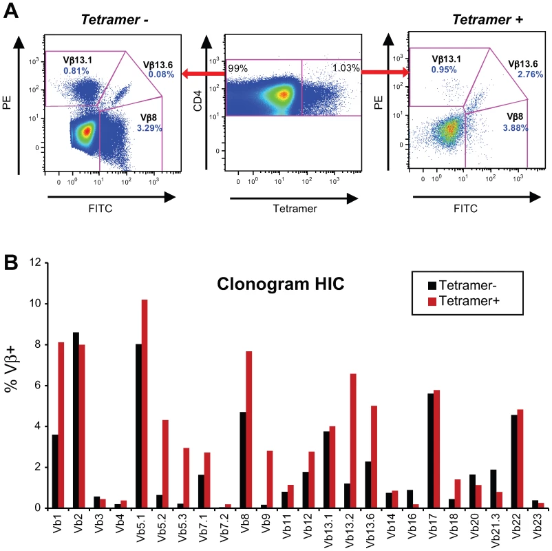 Gag293-specific CD4+ T cells have a diverse Vβ repertoire.