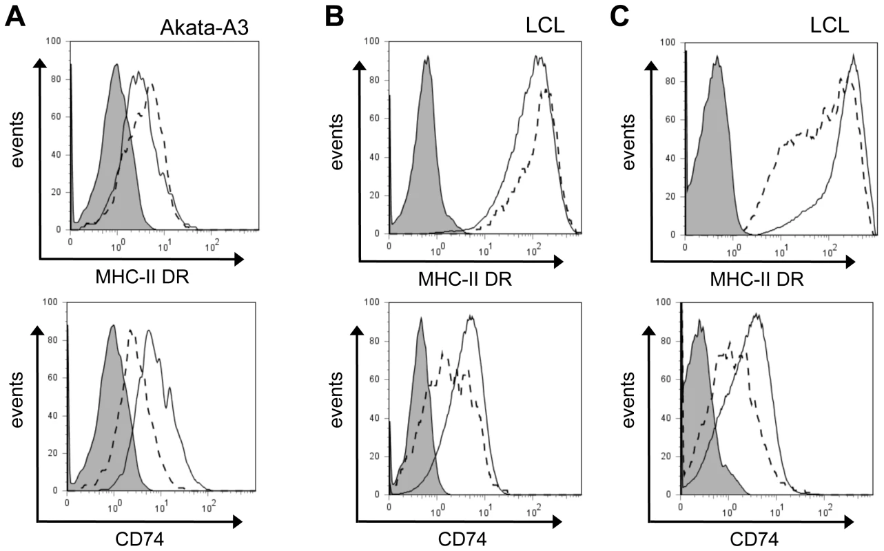 Downregulation of CD74, and not MHC-II DR, is a consistent effect of BZLF1.