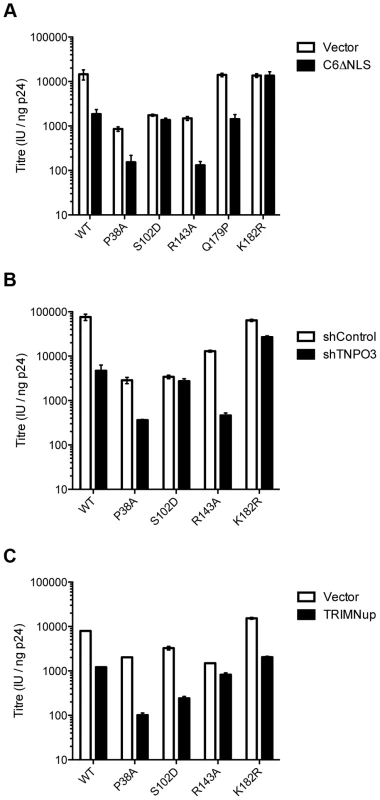 Sensitivity of CA mutants to restriction by CPSF6ΔNLS or TRIM-NUP153 or depletion of TNPO3.