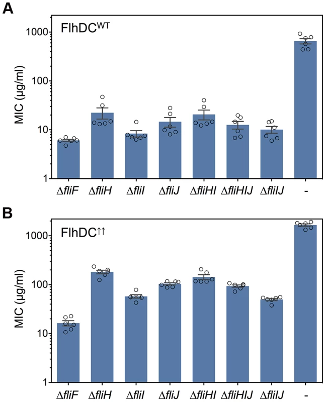 FliH functions as a negative regulator of type-III protein translocation.