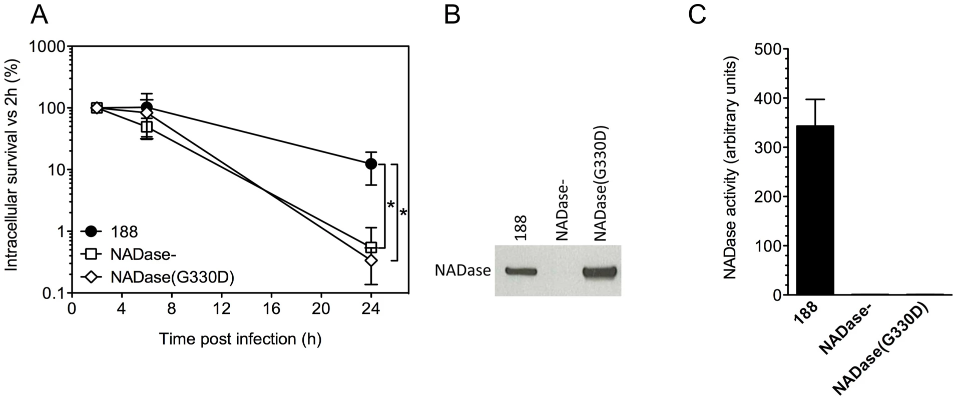 Expression of active NADase plays a central role in the intracellular survival of GAS in oropharyngeal keratinocytes.