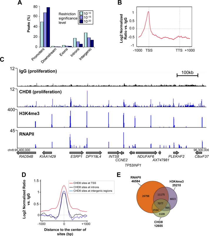 Genome-wide analysis of CHD8 binding sites under normal proliferation conditions.