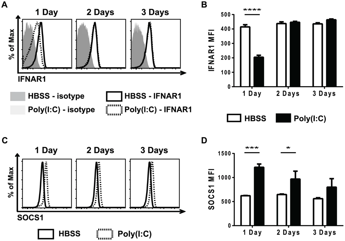 Poly(I∶C)-pretreated CD8 T cells have decreased type 1 IFN receptor expression and increased SOCS1 expression.