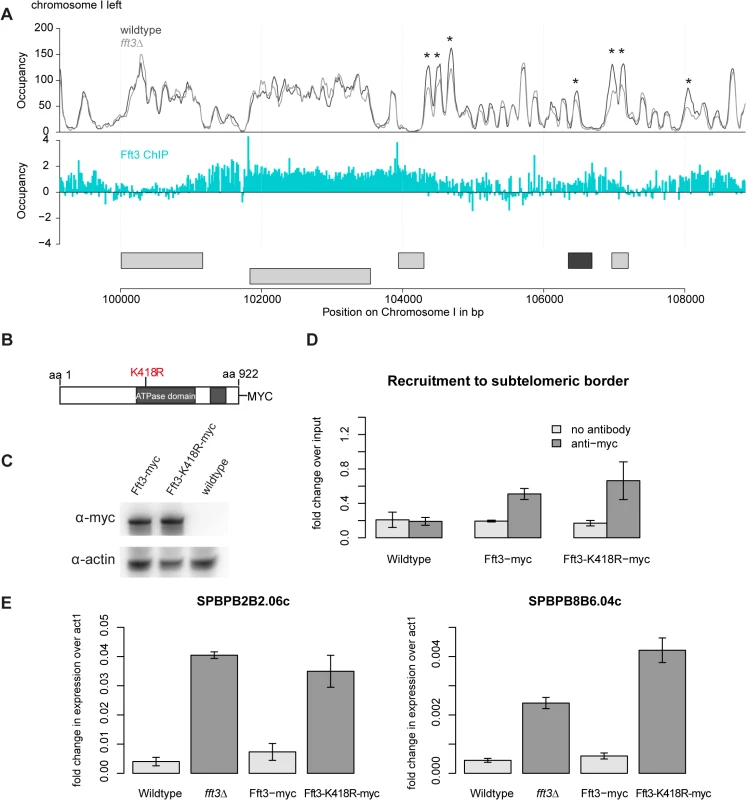 Subtelomeric silencing requires remodeling activity of Fft3.