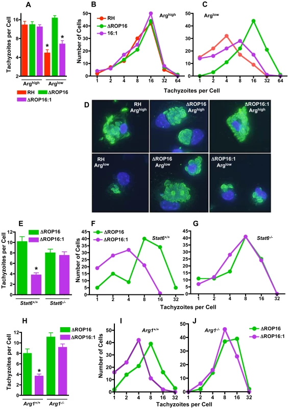 ROP16 mediates resistance to arginine limitation during ex vivo infection of peritoneal exudate cells.
