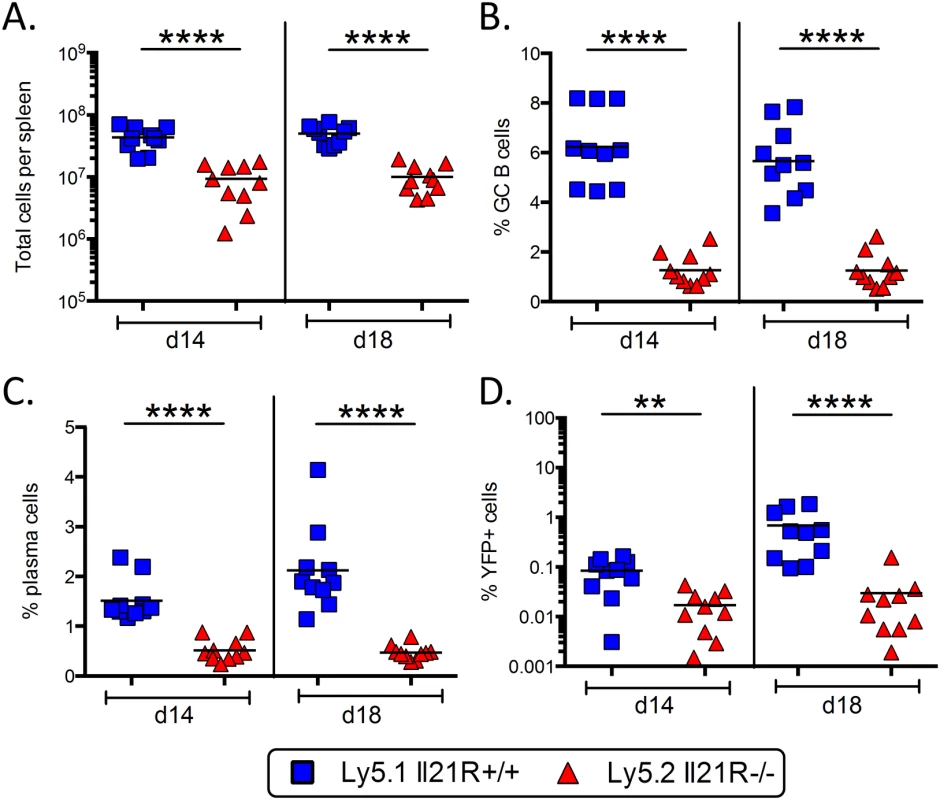 Requirement for IL-21 signaling in establishment of MHV68 infection is intrinsic to B cells.