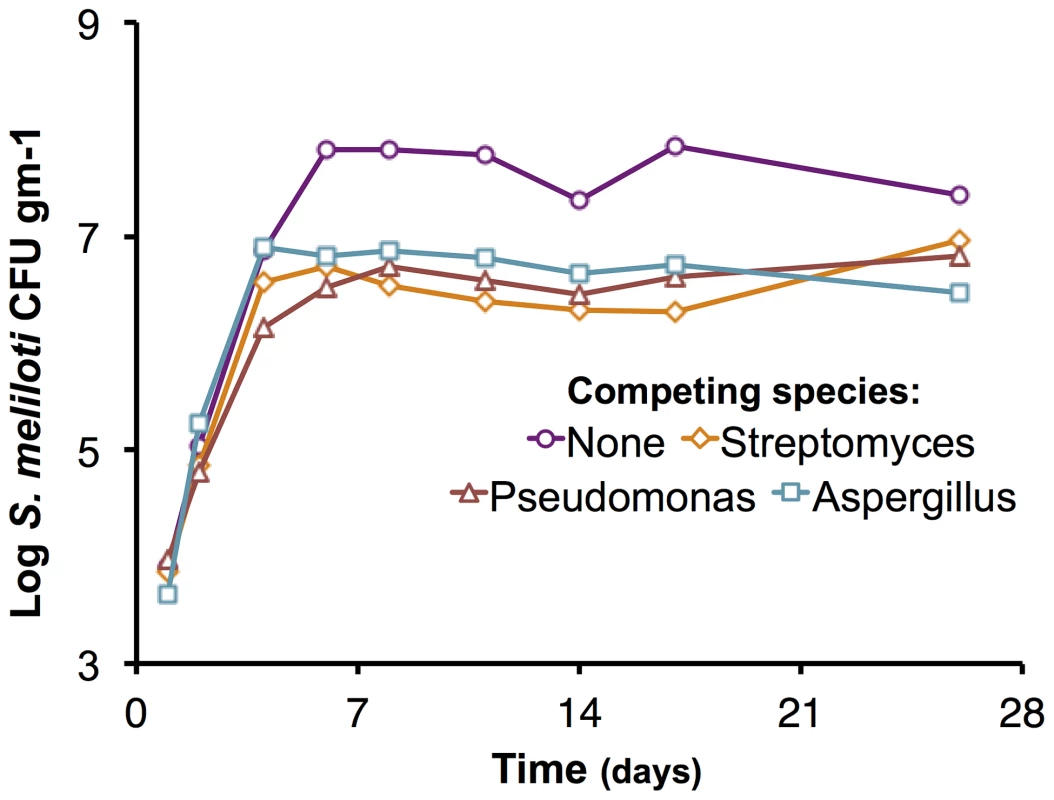Effect of competing species on the growth of the <i>S. meliloti</i> ΔpSymAB strain in bulk soil mesocosms.