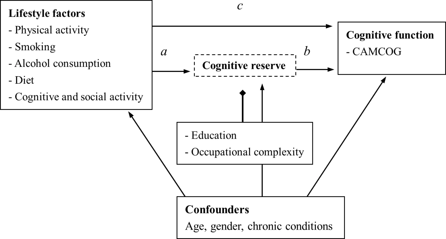 Mediating effect of cognitive reserve on the association between lifestyle factors and cognitive function.