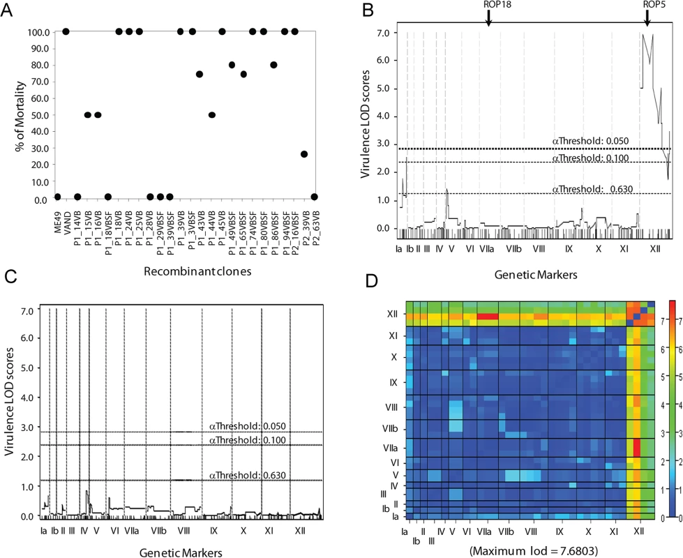 Genetic mapping of the virulence phenotype identified the ROP5 locus as the single major QTL.