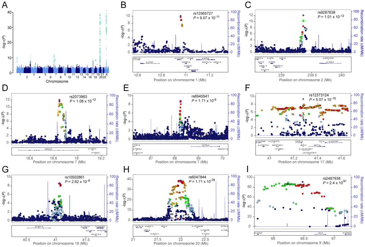 Genome-wide meta-analysis results for AGA in MAAN.
