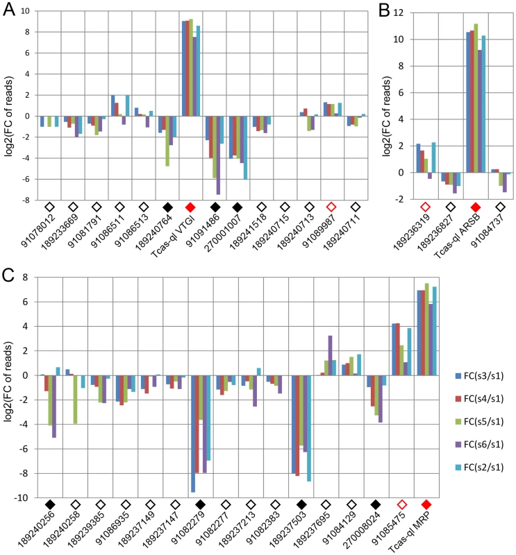 Relative transcriptomic gland expression levels of the <i>Tribolium</i> homologs of the three novel <i>quinone-less</i> genes.