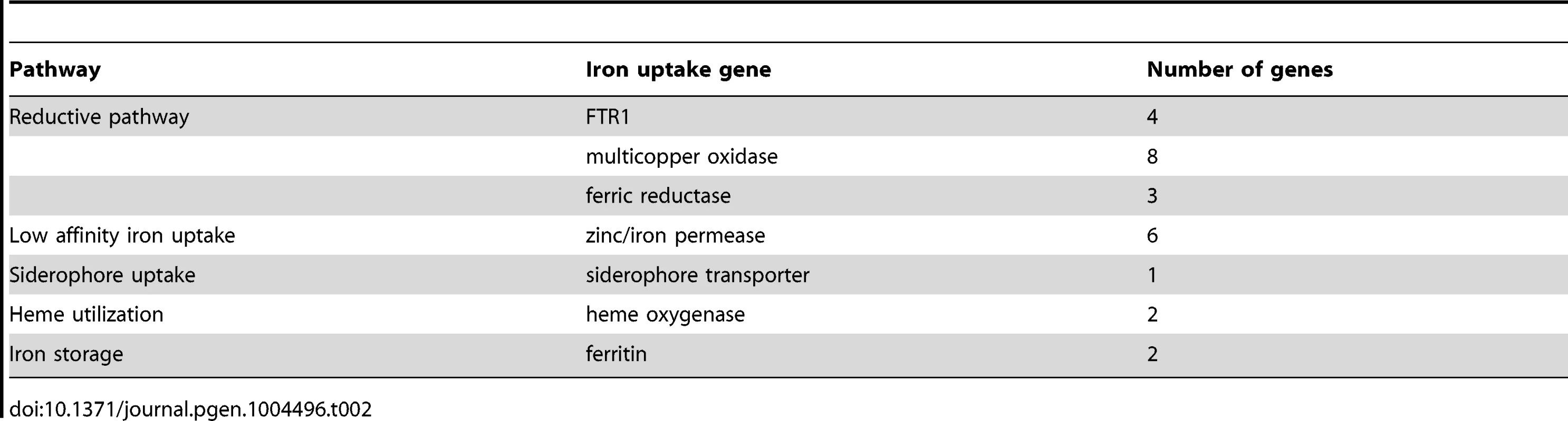 Iron uptake genes in the &lt;i&gt;L. corymbifera&lt;/i&gt; genome.