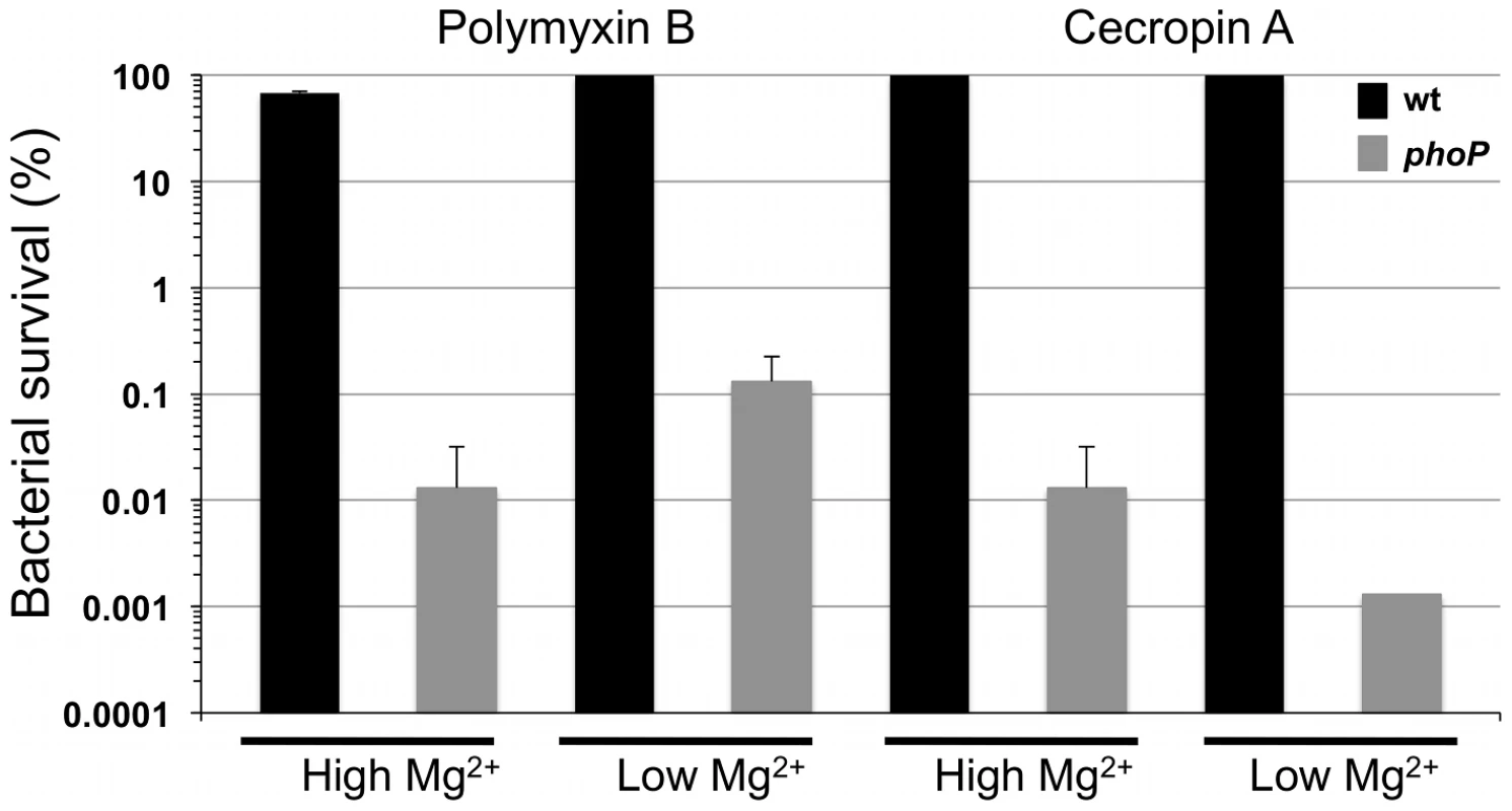 Resistance to polymyxin B and cecropin A is PhoP-dependent in <i>S. glossinidius.</i>