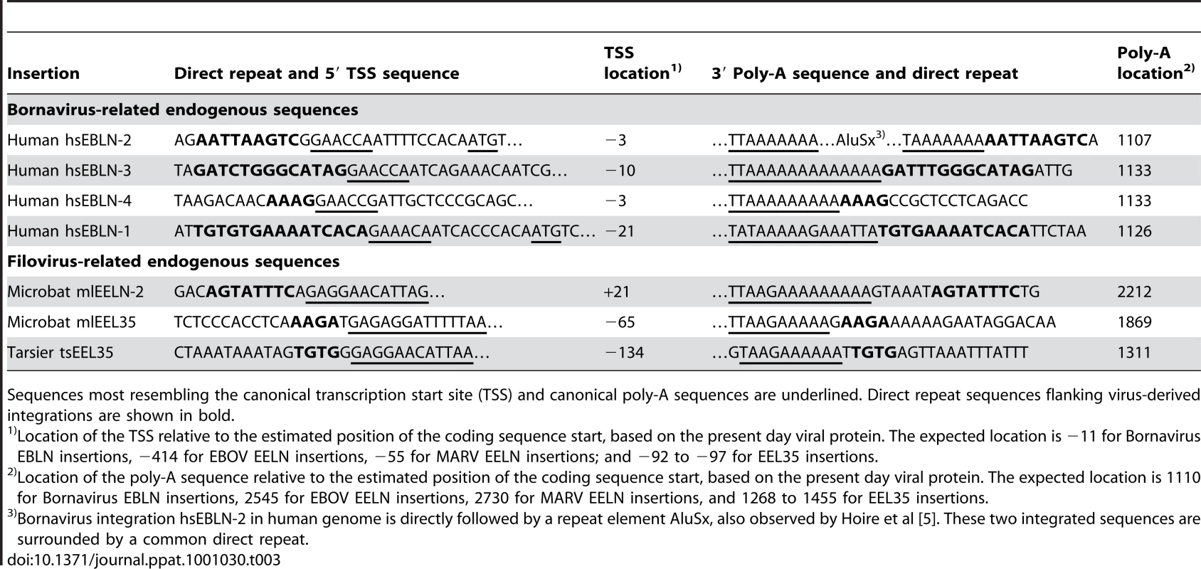 Presence of direct repeats, viral transcription start sites, and poly-A sequences in some virus-related genomic integrations.