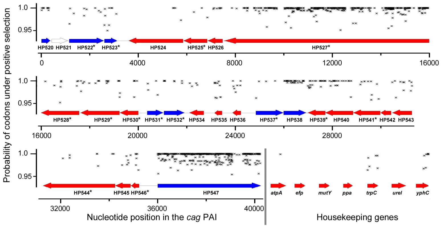Sliding window map of maximum likelihood analysis of codons to be under diversifying selection for complete <i>cag</i>PAIs and housekeeping genes.
