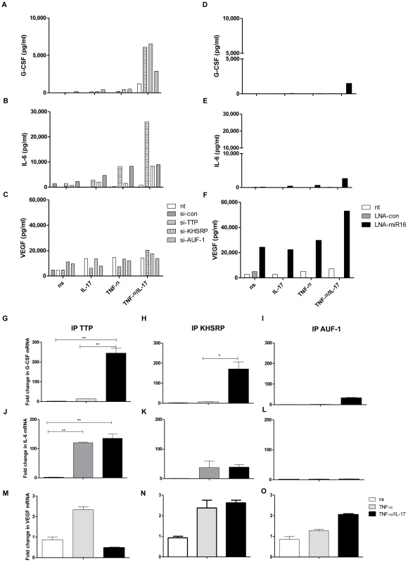 Involvement of AUBps and miR16 on expression of other inflammatory mediators and the effect of IL-17.