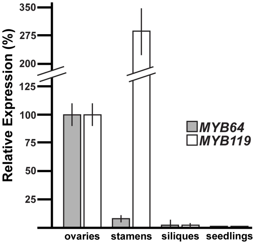 qRT-PCR analysis of <i>MYB64</i> and <i>MYB119</i> expression.