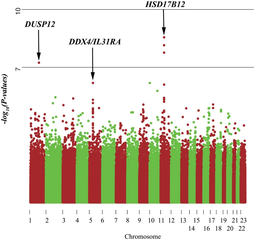Manhattan plot of single marker analysis of the low-risk neuroblastoma data set.