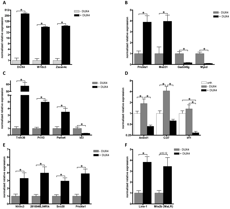 Validation of expression levels of DUX4 deregulated genes in C2C12 myoblasts.