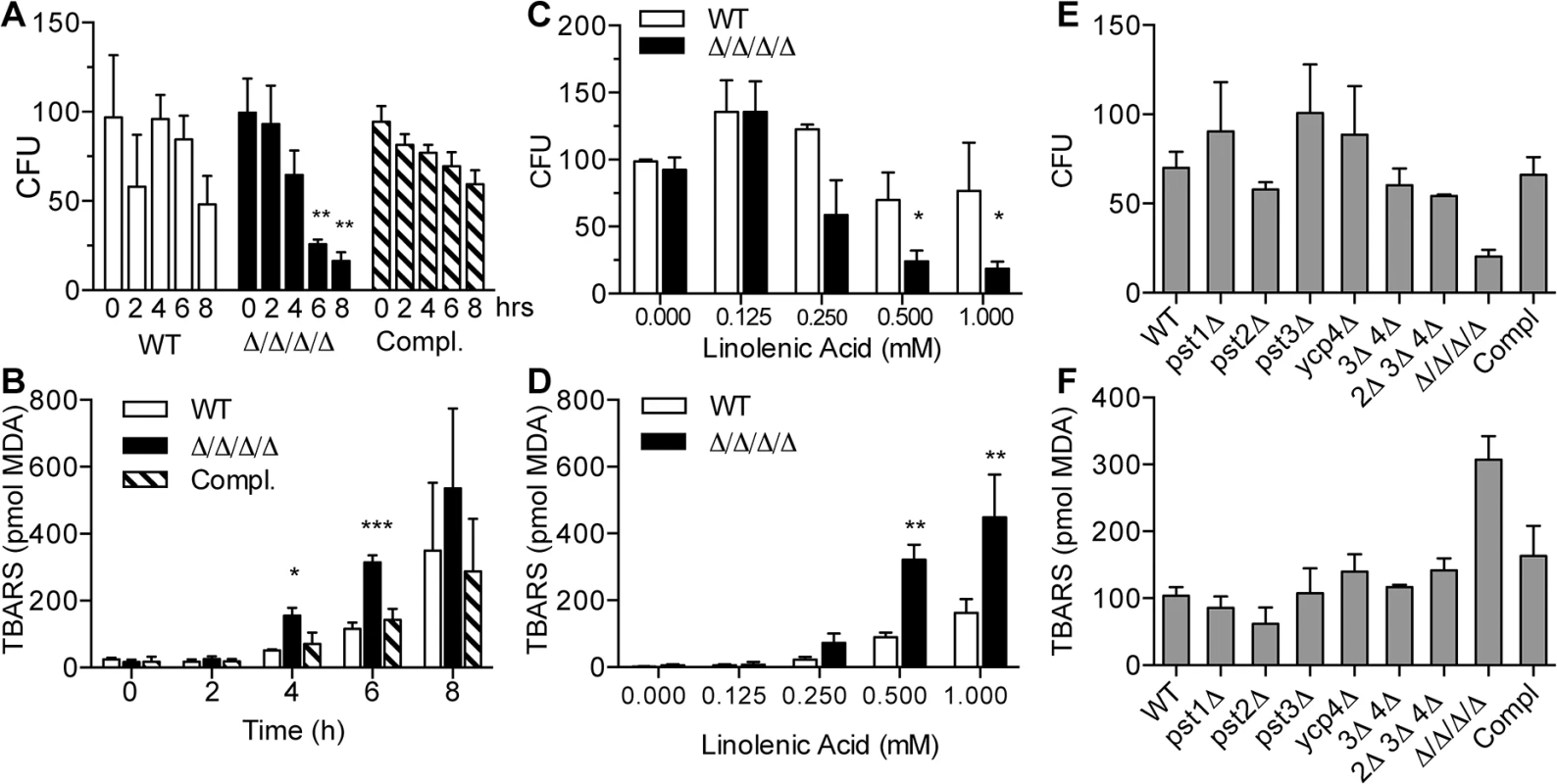 The Δ/Δ/Δ/Δ mutant strain is more sensitive to linolenic acid-induced cell death and lipid peroxidation.