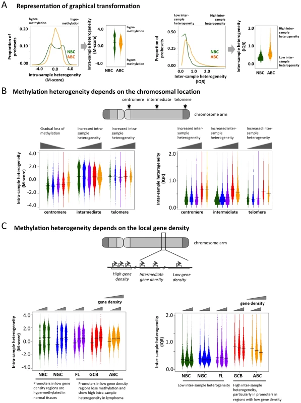 Genome-wide patterns of aberrant methylation.