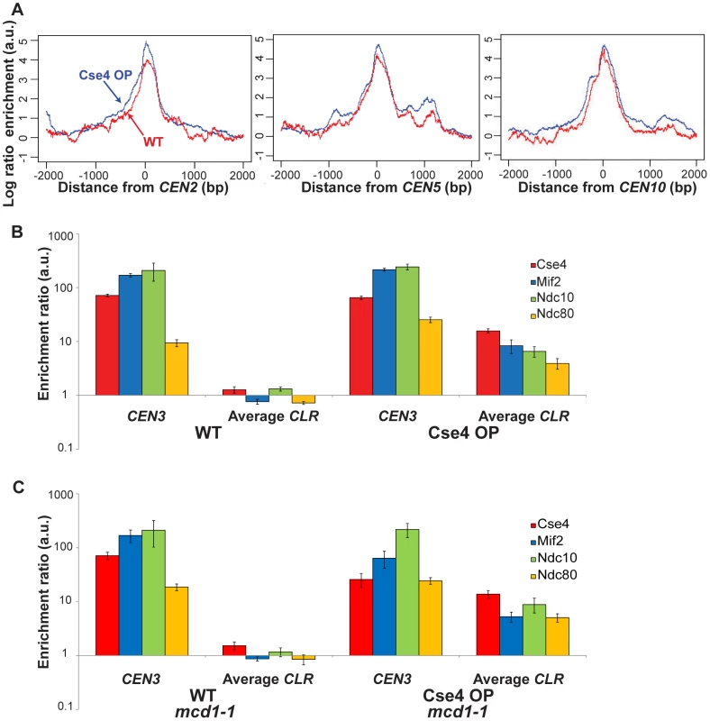 Quantitation of protein binding in Cse4 OP strains.