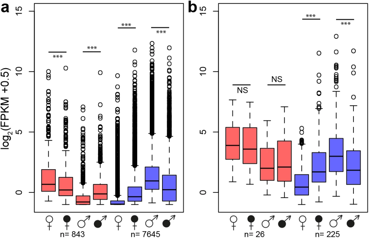 Changes in gene expression intensity of genes with sex-biased expression in healthy <i>S</i>. <i>latifolia</i> following <i>Microbotryum</i> infection.