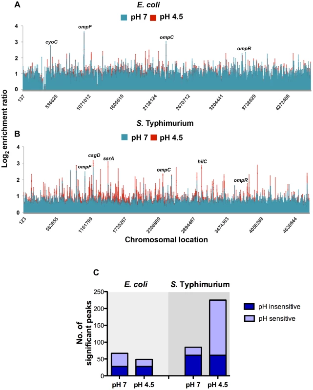 Genome-wide distribution of OmpR in <i>E. coli</i> and <i>S.</i> Typhimurium.
