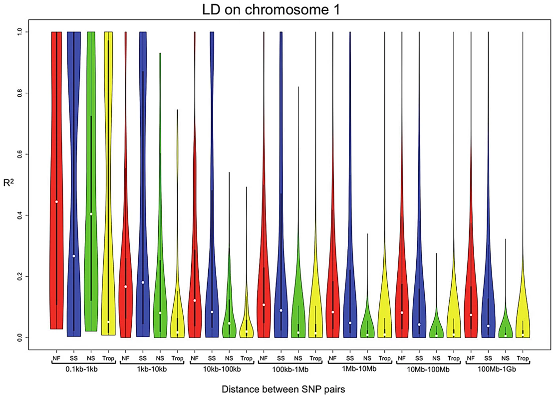 LD on chromosome 1 for the subpopulations, Northern Flint (red), stiff stalk (blue), non-stiff stalk (green), tropical (yellow), of the 282 association panel.