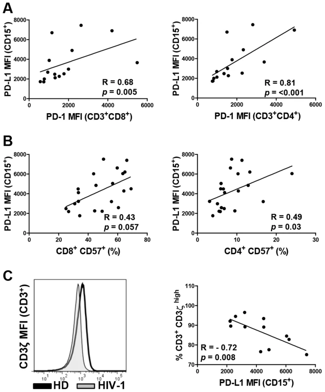 PD-L1 expression on neutrophils correlates directly with PD-1 and CD57 expression on T cells and inversely with the expression of CD3ζ chain on T cells.