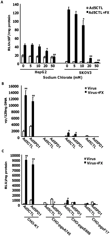 Importance of HSPG sulfation for FX-mediated Ad transduction <i>in vitro</i>.