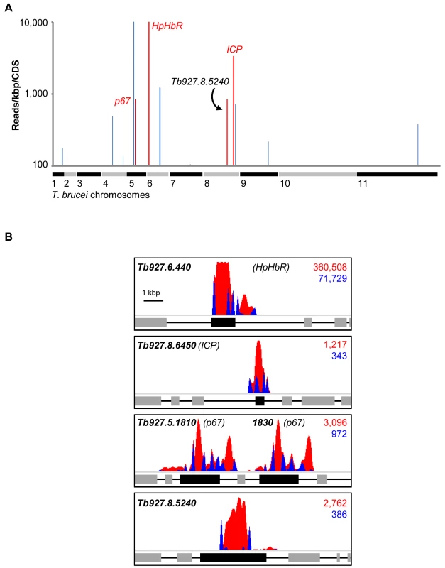 An RNAi screen reveals major determinants of human serum sensitivity in <i>T. b. brucei</i>.
