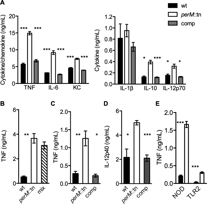 <i>PerM</i>::tn induces a hyperinflammatory cytokine response in mouse macrophages.