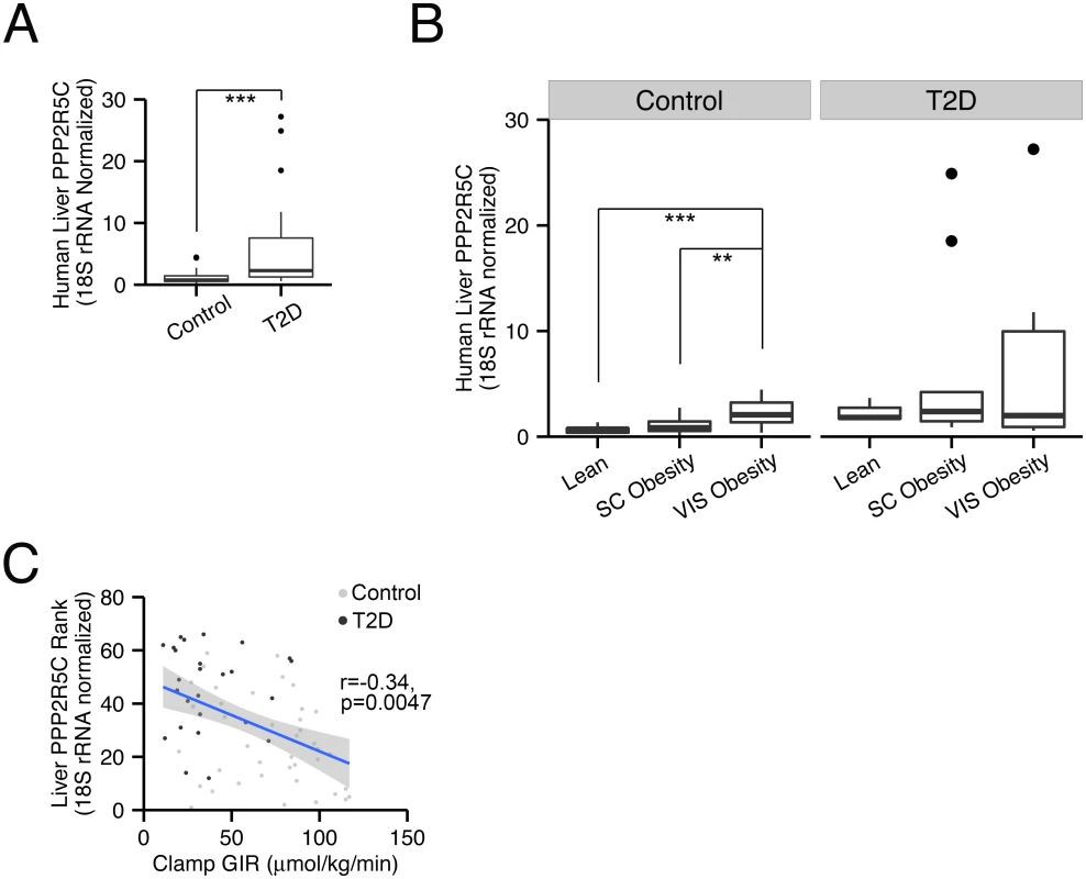 PPP2R5C expression in human liver correlates with insulin resistance.