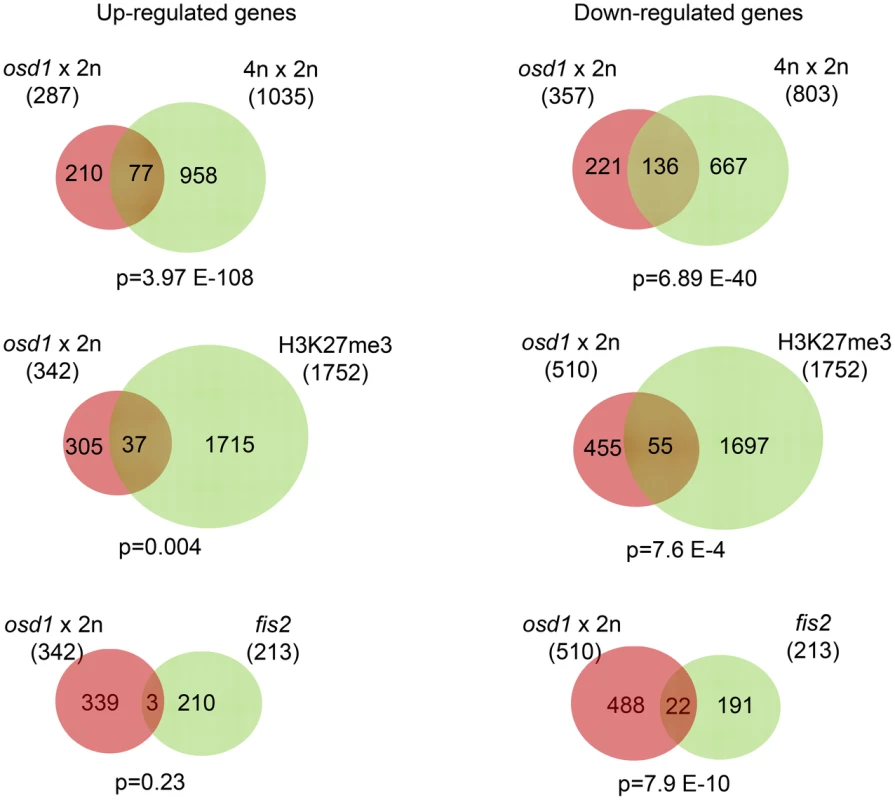 FIS-PRC2 Target Genes Are Deregulated in Response to Maternal Excess Interploidy Hybridizations.