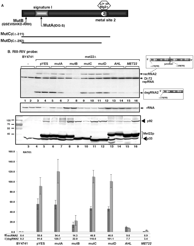 The nucleotidase function of Met22p is important for TBSV RNA recombination in yeast.