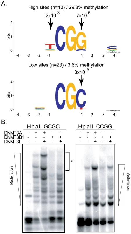 DNMT3B shows selectivity for residues flanking the target CpG site at positions −1 and +1.
