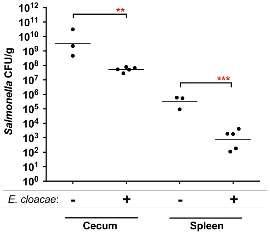 Protection of mice against <i>Salmonella</i> serovar Typhimurium strain 14028 by <i>Enterobacter cloacae</i> strain JLD400.