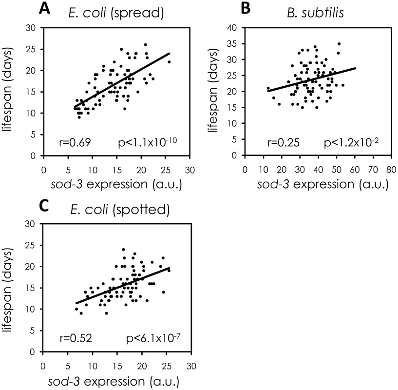 Variable pathogenicity as a source of variability in <i>sod-3</i> expression and lifespan.
