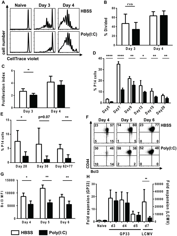 Poly(I∶C)-pretreated P14 CD8 T cells have a delay in division and reduced BCL3 expression.