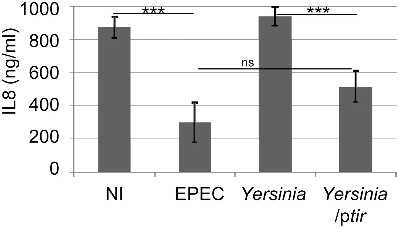 <i>Yersinia</i>-delivered Tir inhibits TNFα-induced IL8 secretion to a similar extent as EPEC-delivered effectors.
