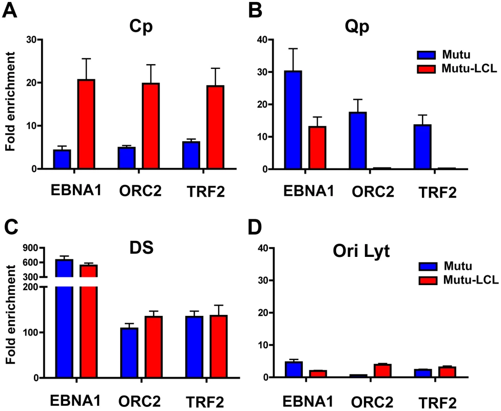 Interaction between OriP binding factors and promoters correlates with promoter activation.