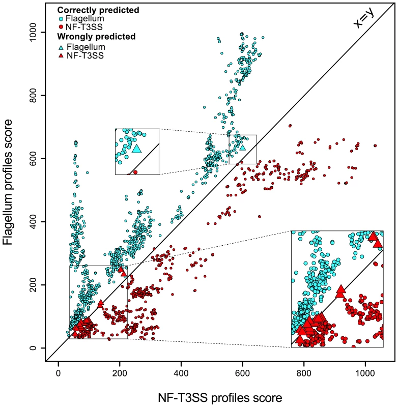Discrimination between NF-T3SSs and flagella based on Hmmer profile scores.