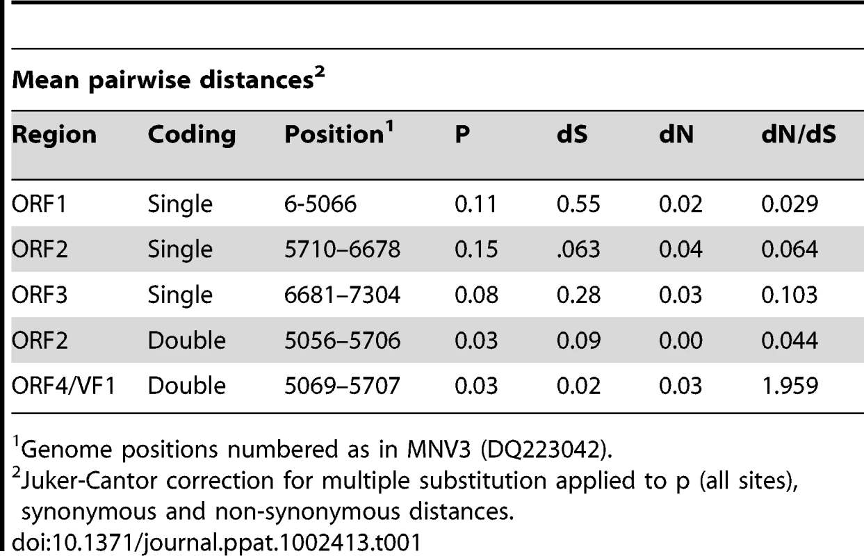 Sequence divergence of MNV genes.