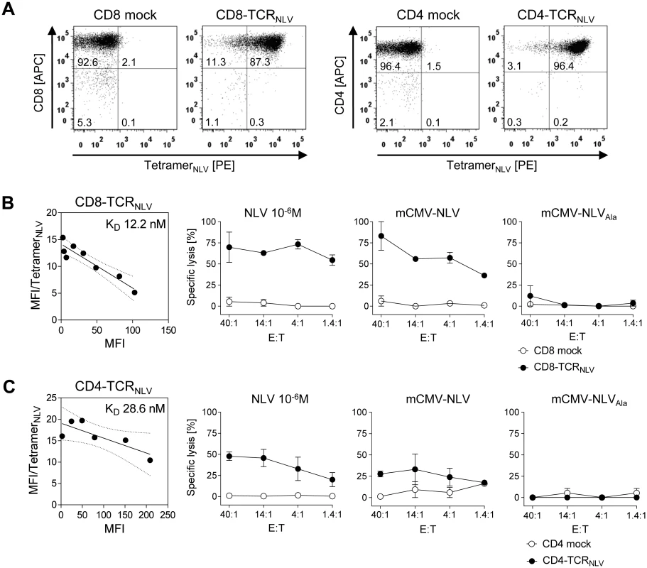 Transgenic TCR<sub>NLV</sub> expression, structural avidity, and cytolytic activity of TCR-transduced human T-cell subsets.