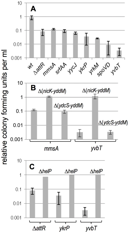 Effects of induction of ICE<i>Bs1</i> gene expression on cell viability.