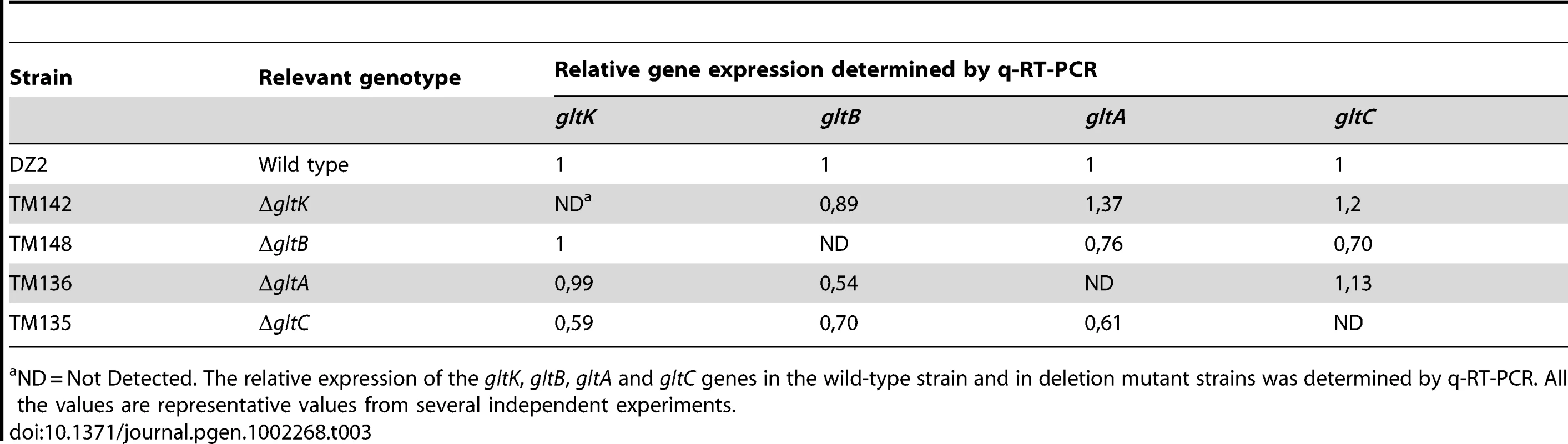 <i>glt</i> mRNA expression in the cluster G2 deletion strains.