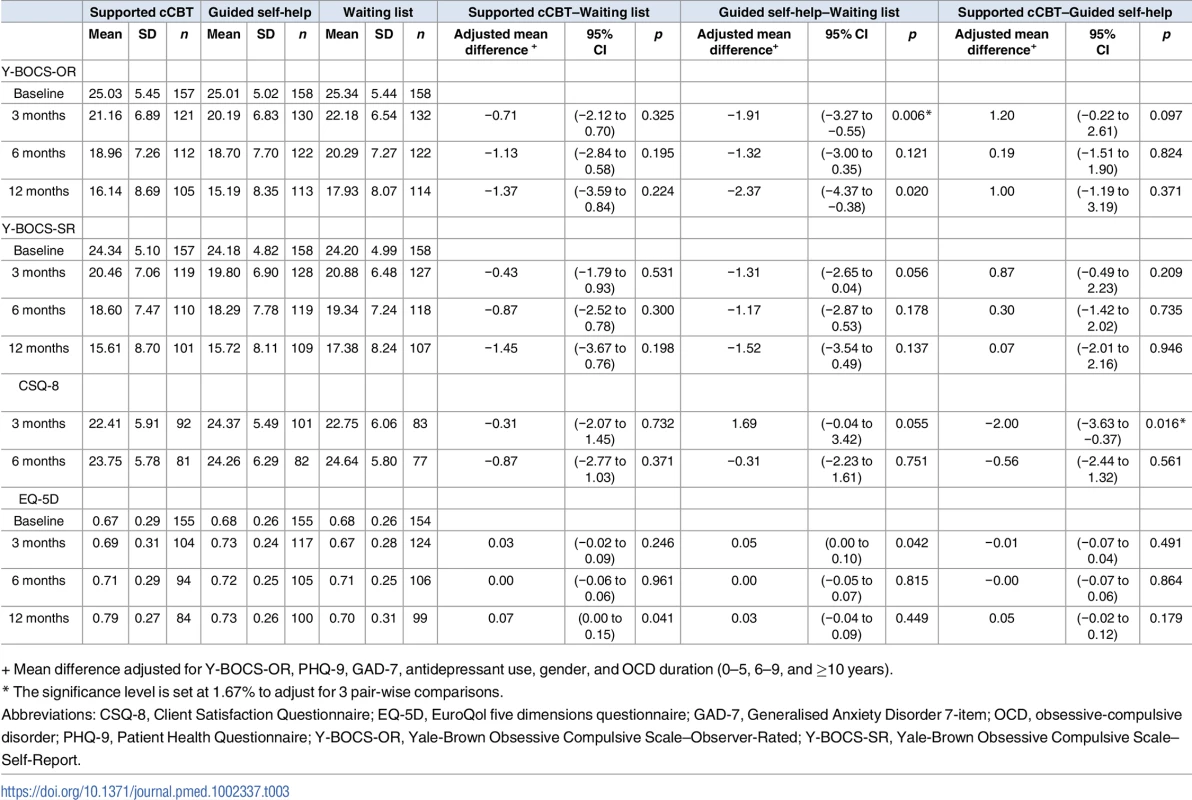 Outcome measure summary statistics and intervention effects at 3, 6, and 12 months.