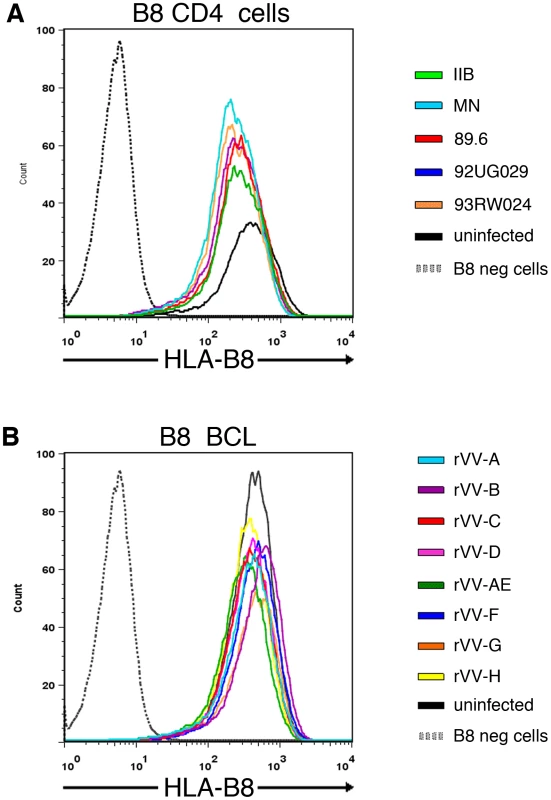 No marked difference in HLA-B8 surface expression between target cells infected by individual HIV isolates or rVV-Nef constructs.